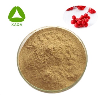 Extrait Schisandra 2% Schisandrin Powder Protect FIVER