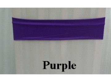 Expand Bands Purple