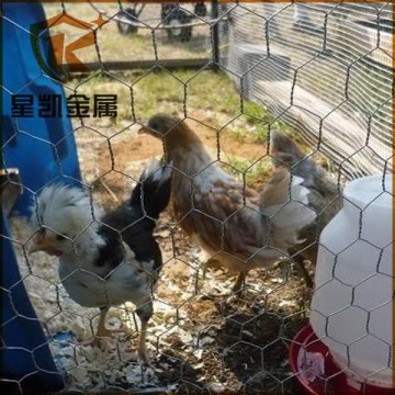 chicken wire electro gi