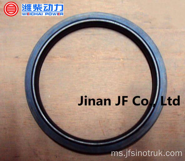 VG1500010037 61500010100 VG1047010038 Howo Sinotruk Oil Seal