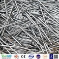 Brazil Market Good Quality Polished Common Iron Nails