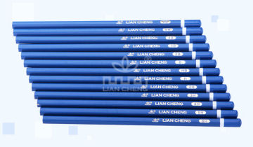 Fine Art Charcoal for Drawing, Wooden Drawing Pencils