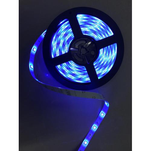 5050SMD Bule Led Strip light