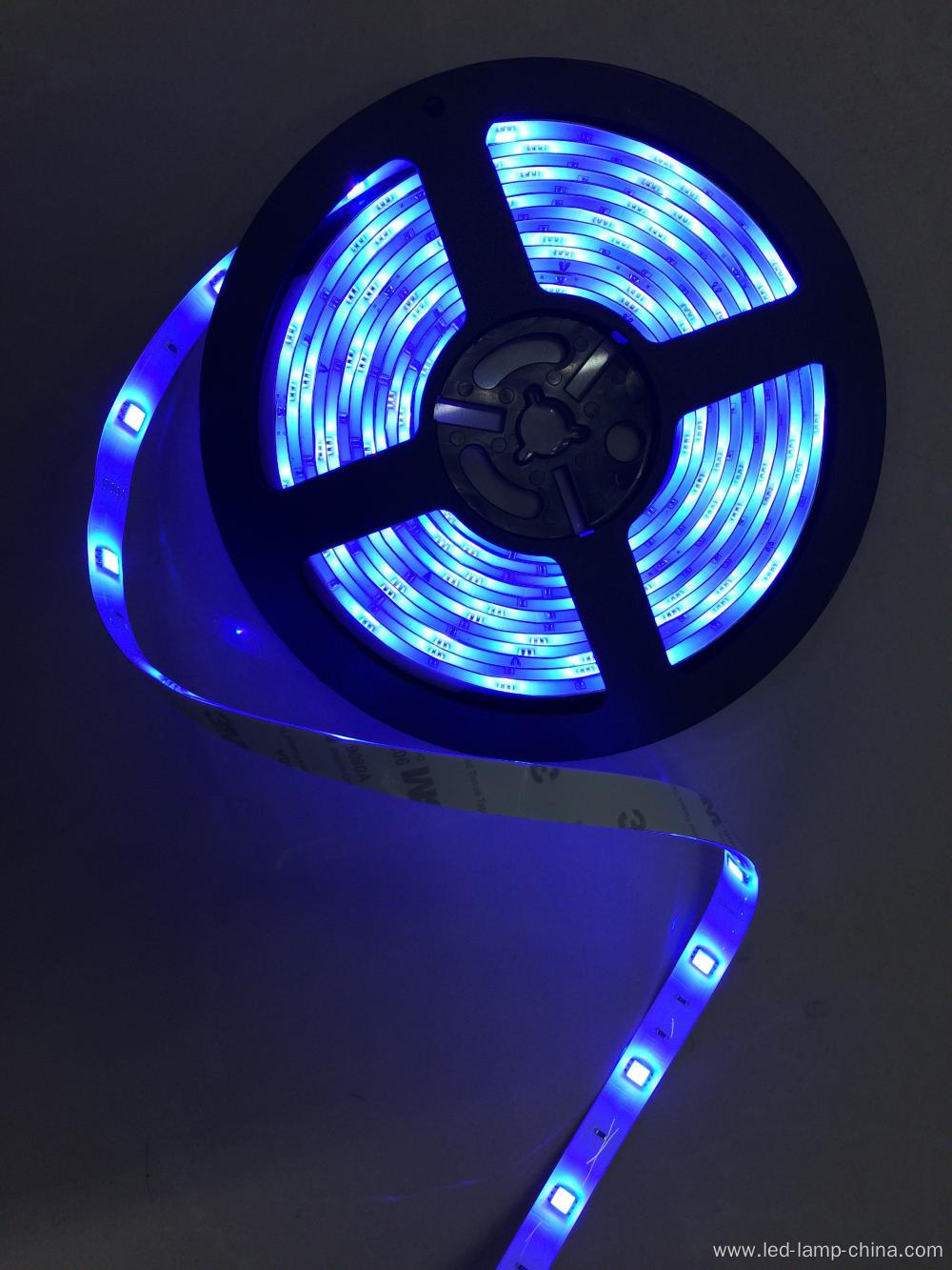 5050SMD Bule Led Strip light