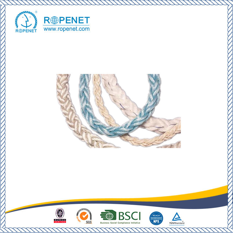 High Strength PP Mooring Rope Hot Sale