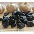 Healthy Black Garlic From Black Garlic Fermenter