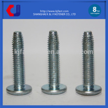 Direct Factory Price Professional Manufacture Furniture Hardware Screw Nut Bolt