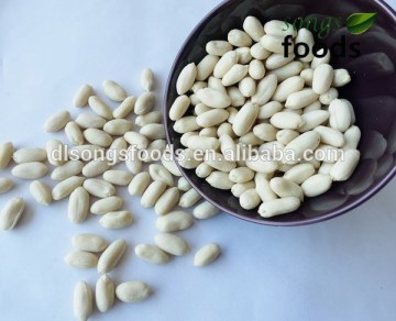 best price Chinese groundnut blanched peanuts