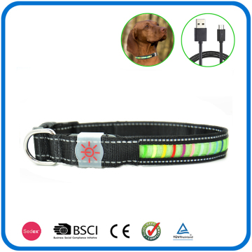 Night Bright Rechargeable Dog Collars