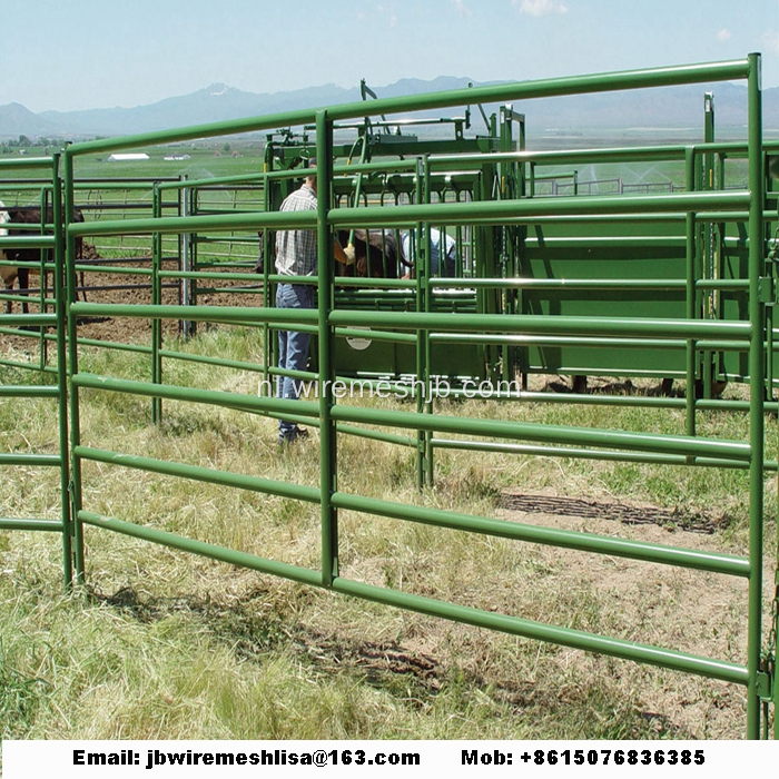 Gepoedercoat en gegalvaniseerd paardenafrasteringpaneel