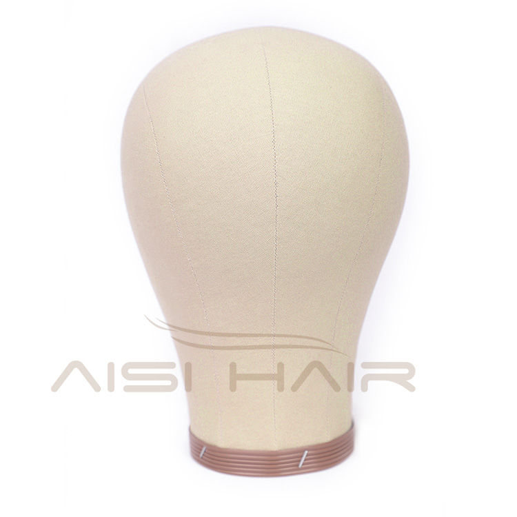 Aisi Hair Canvas Block Head Mannequin Head Weft Wig Display Style Styling Manikin Head Cork Inside Dryer Free Gifts