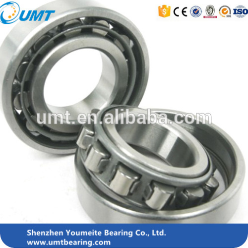 F Shaking screen cylindrical roller bearing NU1019