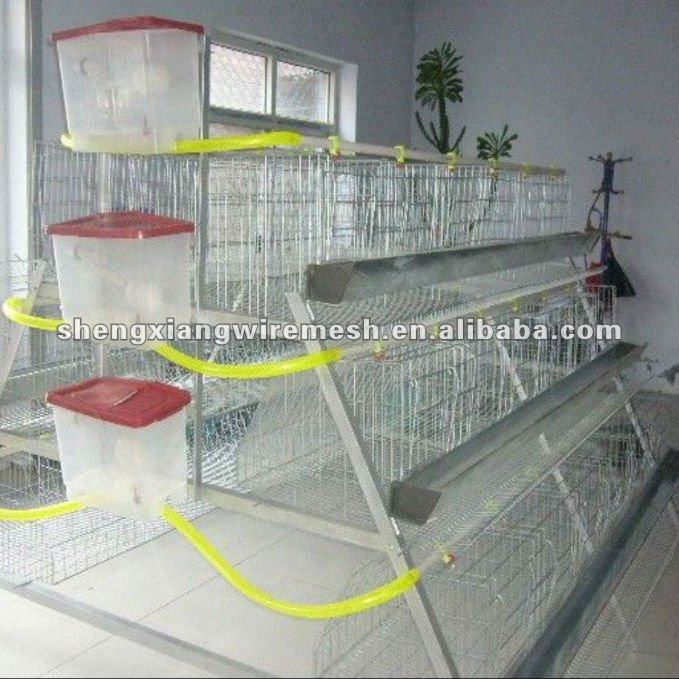 Cheap chicken animals battery cages layer price system with auto feeder drinker and cleaner