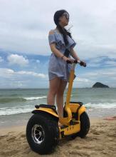 Trailer Function Electric Hoverboards Self Balancing Electric Scooter