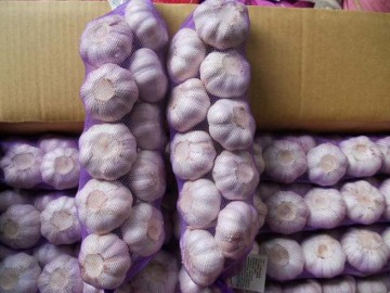 Good Quality Garlic Products Garlic Braids