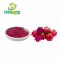 Bột pitaya hữu cơ tinh khiết