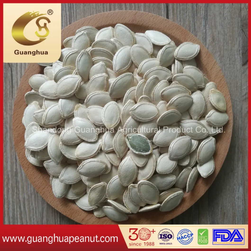 Export Standard Shine Skin Pumpkin Seeds