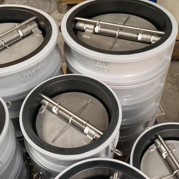 Dual Plate EPDM Seat Check Valve