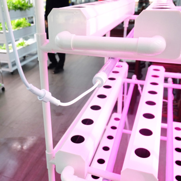 NFT Hydroponic System for home with led