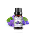 Pure Violet Essential Oil Perfume Extracto esencial orgánico