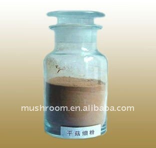 Oyster mushroom Powder,