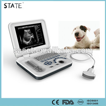 easy carry b ultrasound with low price