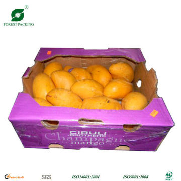 LEMONS PACKAGING BOX FP101220