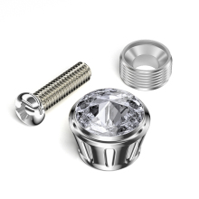 Car License Plate Frame Screw Caps and Bolt Covers