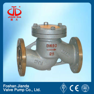 16K check valve 10 inch ANSI