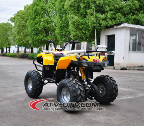 2 wheel drive atv (CE Certification Approved)