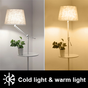 cold light & warm light smart bulb
