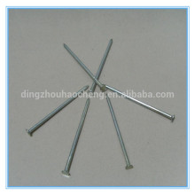 Galvanized common round iron nail