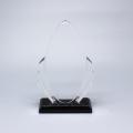 APEX 16 years factory custom Acrylic Trophy