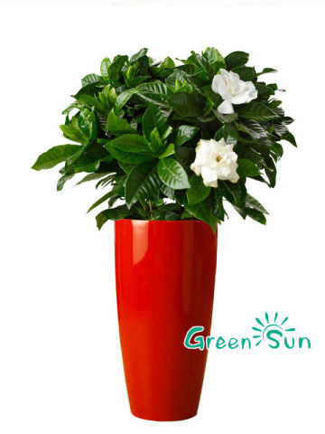 planter, plastic planter, plastic garden planter