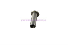 Stainless Steel Solid Rivet Made in China