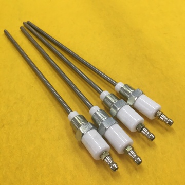 Beru Ceramic Electrode for High-Performance Ignition Systems