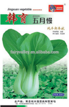 High Quality Green Leafy Vegetable Seeds For Sale-May Greens
