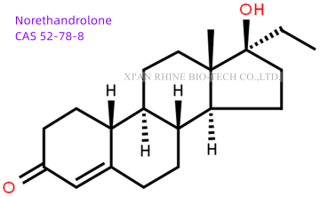 Steroids Raw Powder Norethandrolone CAS 52-78-8