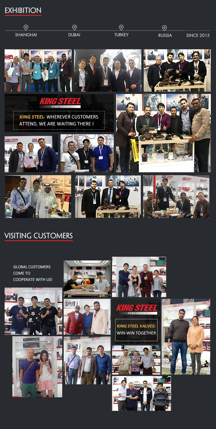 77020-06220 77020-06221 fuel injection pump assembly for Toyotas Camry ACV4# 07-