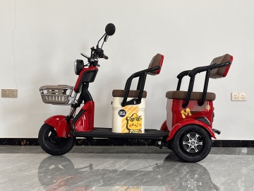 Three wheeled leisure electric scooter