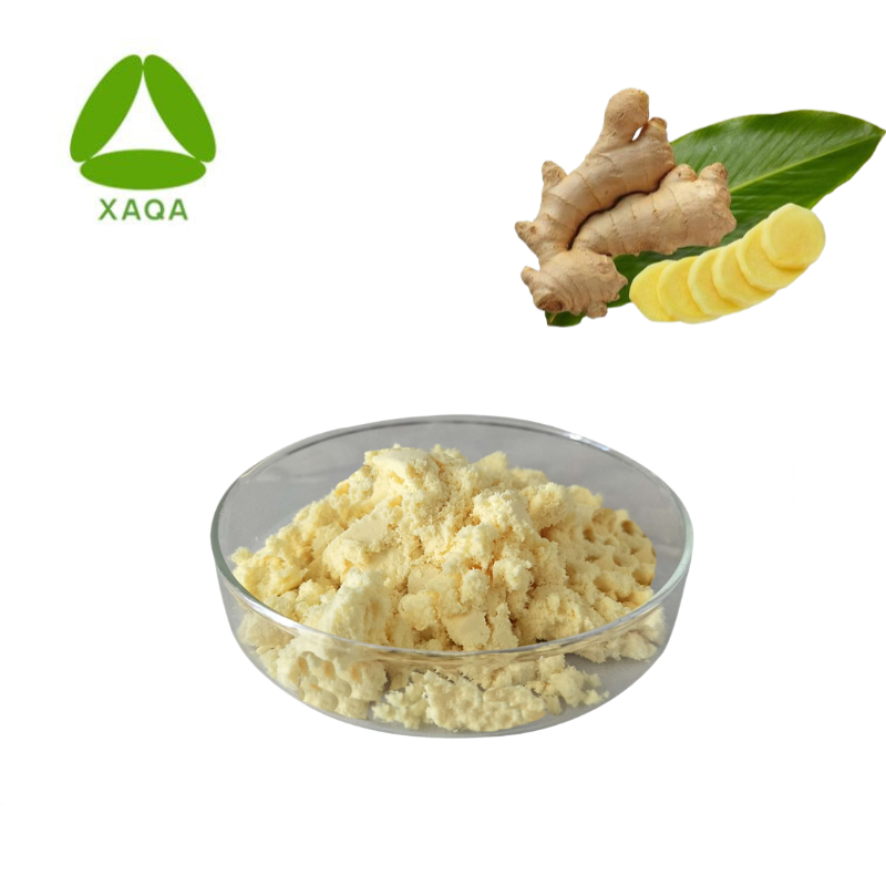 Ginger Root Extract