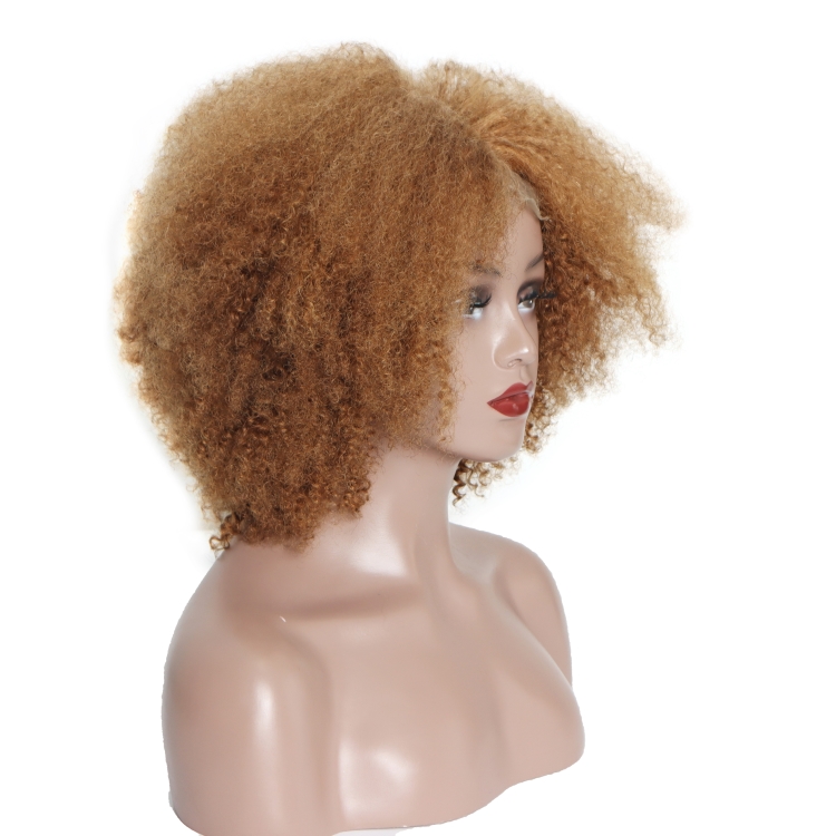 wholesale virgin hair vendors Highly Recommended brazilian virgin kinky curly bob human hair lace front wig in natural color