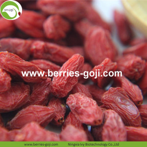 Nhà máy Bao bì Số lượng lớn Loại thảo mộc Wolfberries