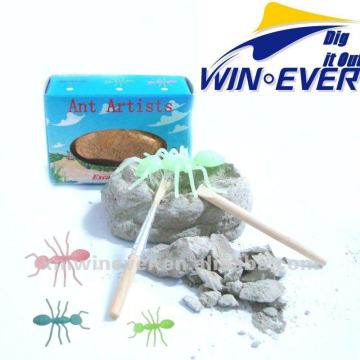 Ant Artists Excavation Kits