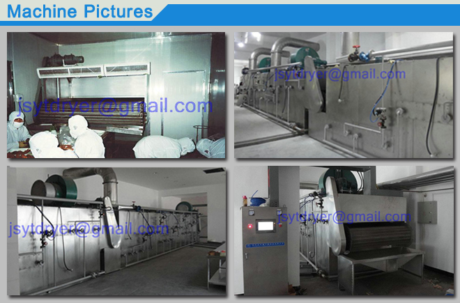 Walnuts Professional Drier