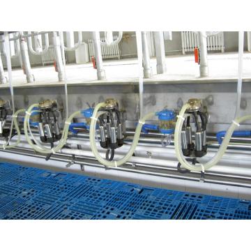 High tech milking parlor