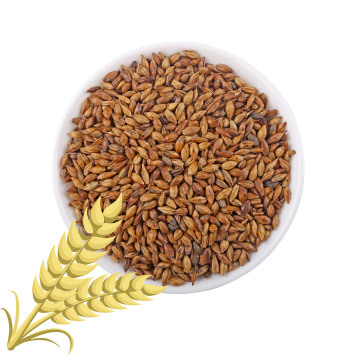 Free Sample Loose Bulk Fried Roasted Barley and Buckwheat Tea