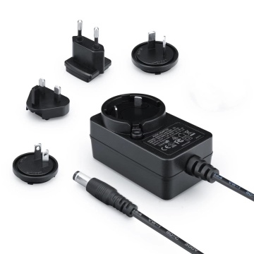 DC 12V 3A Multi Plug Power Adapter 36W