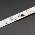 Numérique TM1914 RGBWW 48led Strip IP20