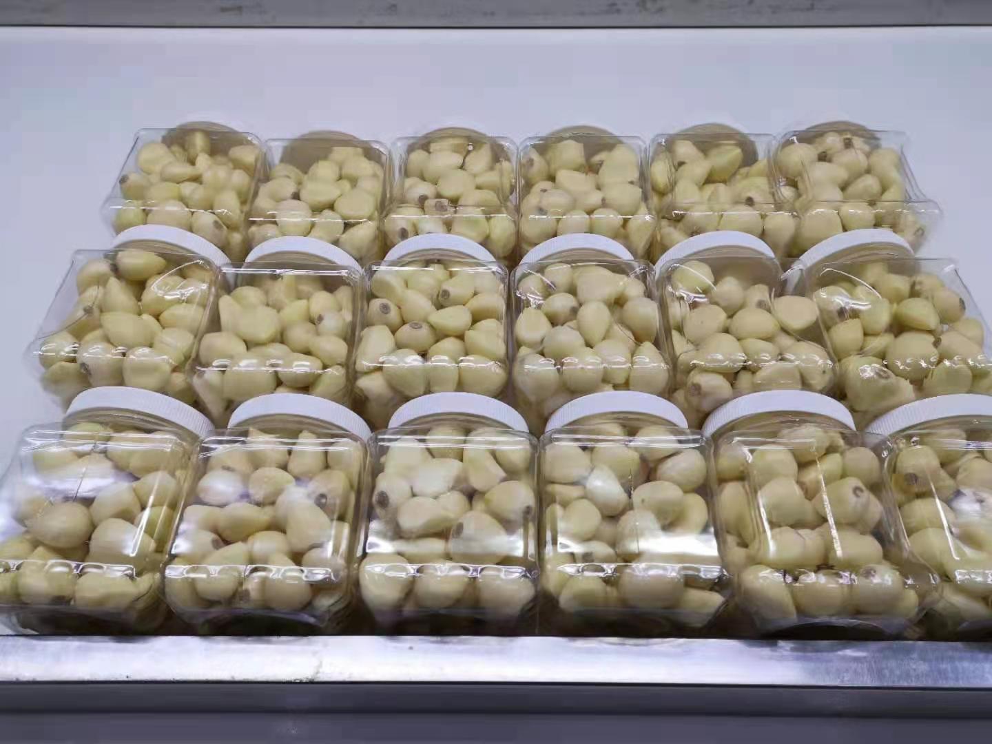 Pure White Garlic Cloves Chinese Garlic Nitrogen Jar Packing 